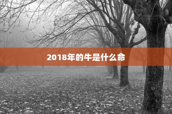 2018年的牛是什么命