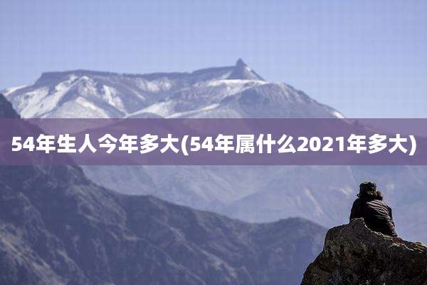 54年生人今年多大(54年属什么2021年多大)