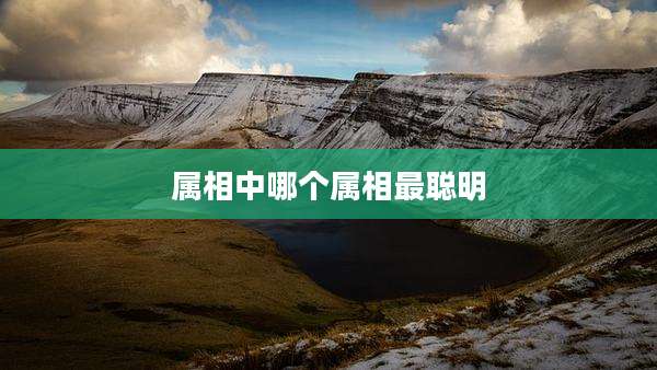 属相中哪个属相最聪明