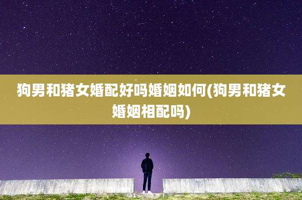 狗男和猪女婚配好吗婚姻如何(狗男和猪女婚姻相配吗)
