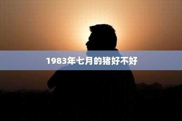 1983年七月的猪好不好