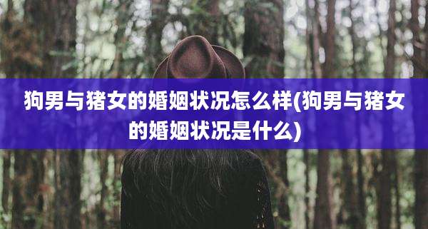 狗男与猪女的婚姻状况怎么样(狗男与猪女的婚姻状况是什么)