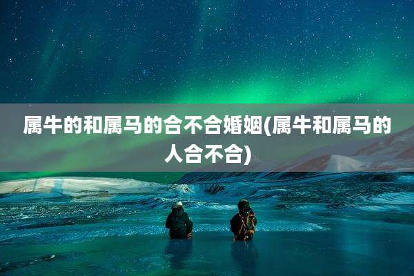 属牛的和属马的合不合婚姻(属牛和属马的人合不合)