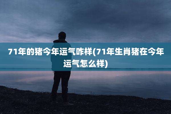71年的猪今年运气咋样(71年生肖猪在今年运气怎么样)