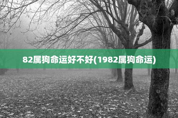 82属狗命运好不好(1982属狗命运)