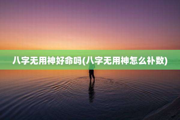 八字无用神好命吗(八字无用神怎么补数)