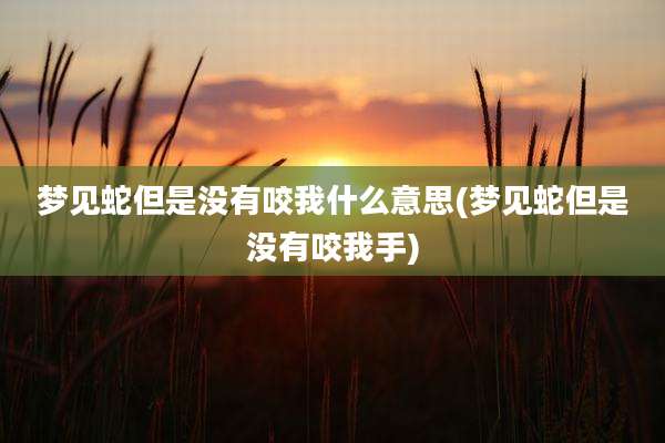 梦见蛇但是没有咬我什么意思(梦见蛇但是没有咬我手)