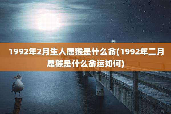 1992年2月生人属猴是什么命(1992年二月属猴是什么命运如何)