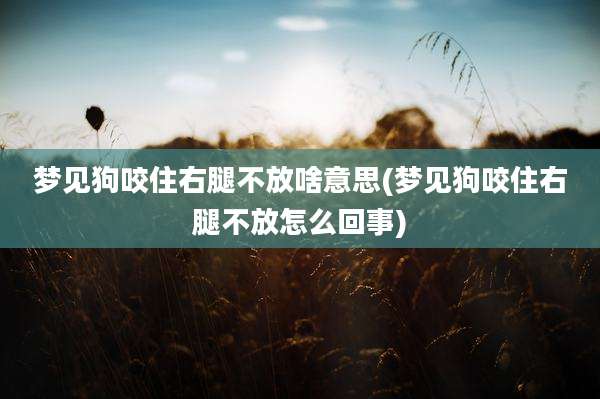 梦见狗咬住右腿不放啥意思(梦见狗咬住右腿不放怎么回事)