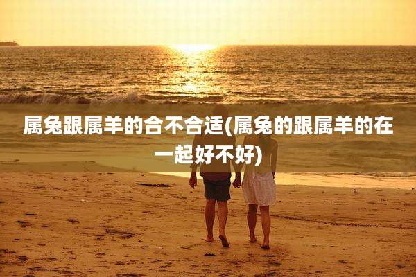 属兔跟属羊的合不合适(属兔的跟属羊的在一起好不好)
