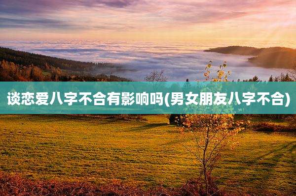 谈恋爱八字不合有影响吗(男女朋友八字不合)