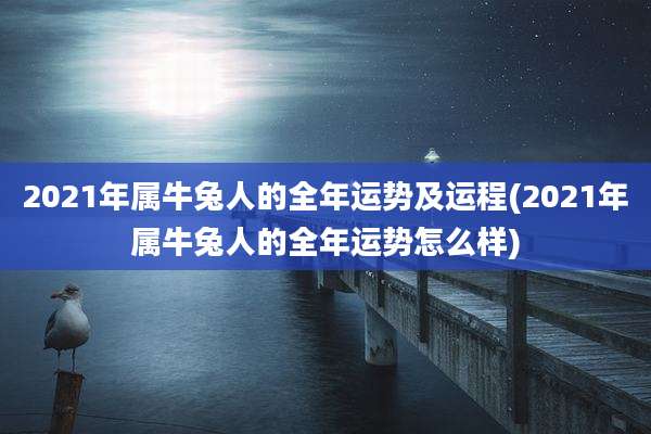 2021年属牛兔人的全年运势及运程(2021年属牛兔人的全年运势怎么样)