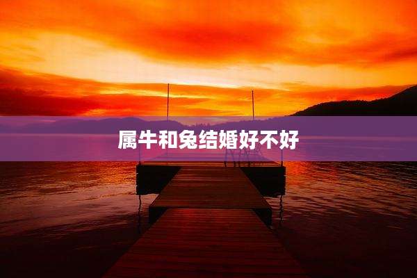 属牛和兔结婚好不好