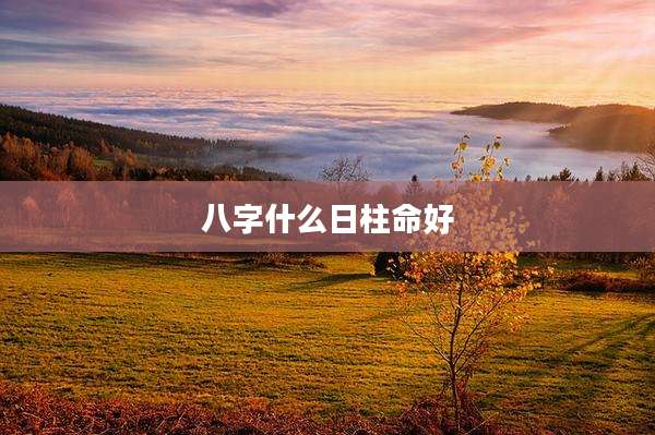 八字什么日柱命好