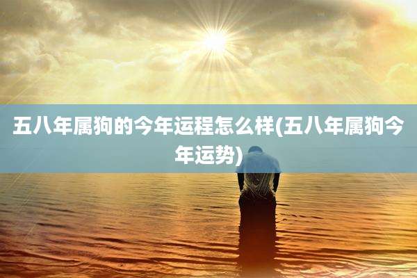 五八年属狗的今年运程怎么样(五八年属狗今年运势)