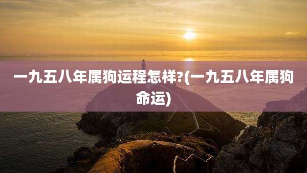 一九五八年属狗运程怎样?(一九五八年属狗命运)