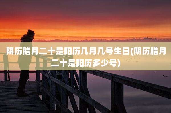 阴历腊月二十是阳历几月几号生日(阴历腊月二十是阳历多少号)
