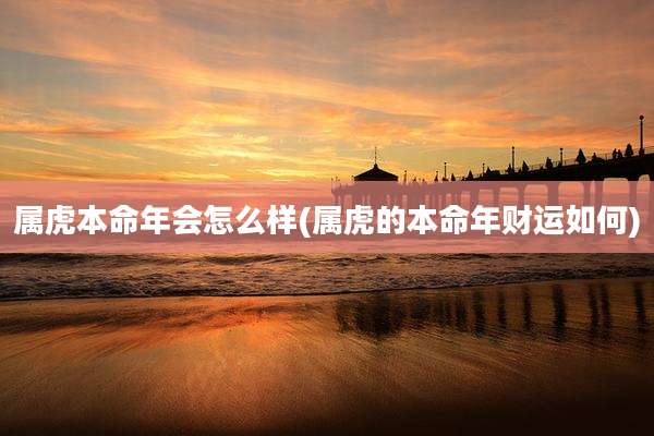 属虎本命年会怎么样(属虎的本命年财运如何)