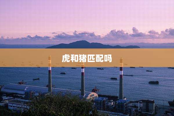 虎和猪匹配吗
