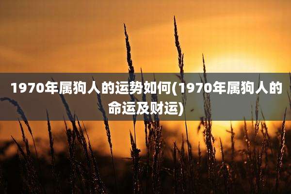 1970年属狗人的运势如何(1970年属狗人的命运及财运)