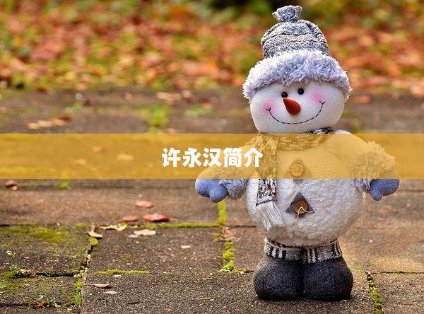 许永汉简介
