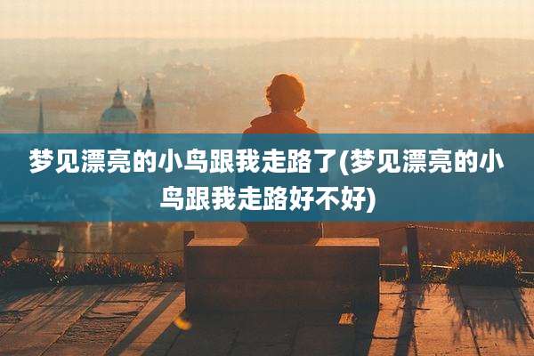 梦见漂亮的小鸟跟我走路了(梦见漂亮的小鸟跟我走路好不好)