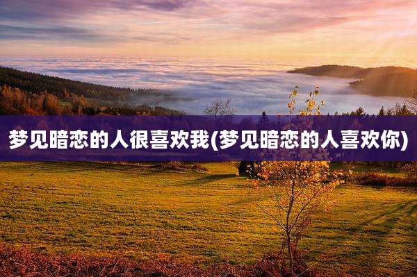 梦见暗恋的人很喜欢我(梦见暗恋的人喜欢你)