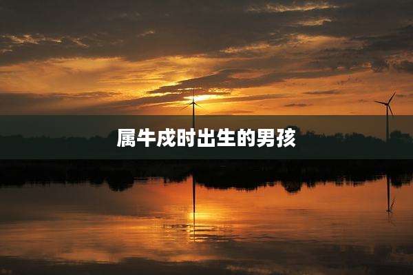 属牛戍时出生的男孩