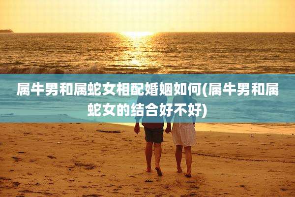 属牛男和属蛇女相配婚姻如何(属牛男和属蛇女的结合好不好)