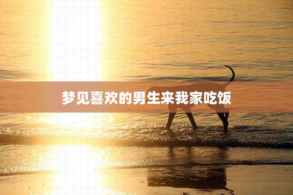 梦见喜欢的男生来我家吃饭