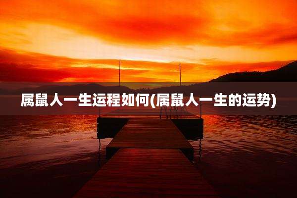 属鼠人一生运程如何(属鼠人一生的运势)