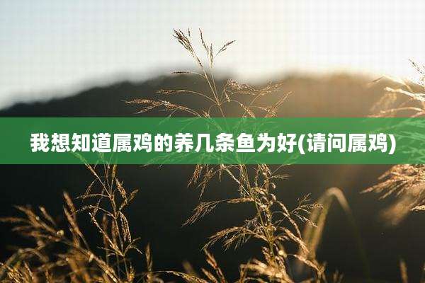 我想知道属鸡的养几条鱼为好(请问属鸡)