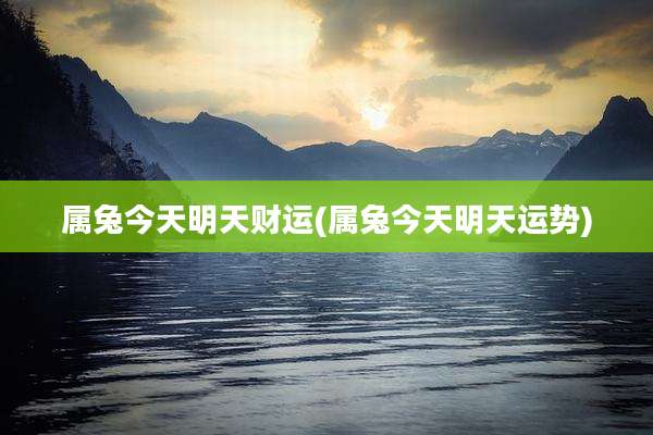 属兔今天明天财运(属兔今天明天运势)