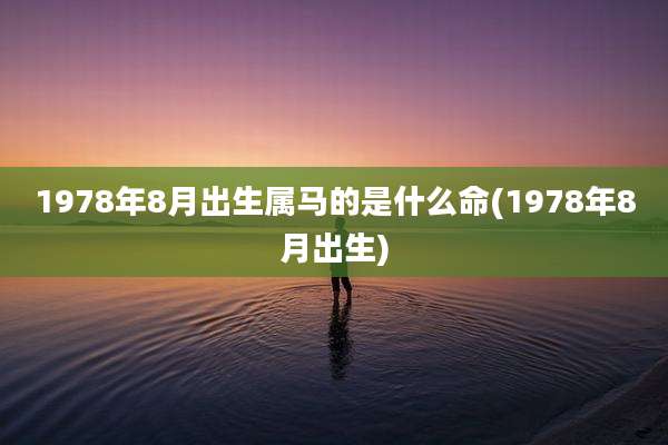 1978年8月出生属马的是什么命(1978年8月出生)