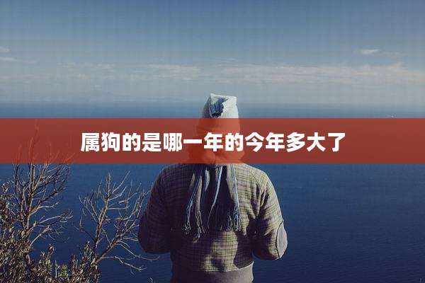 属狗的是哪一年的今年多大了