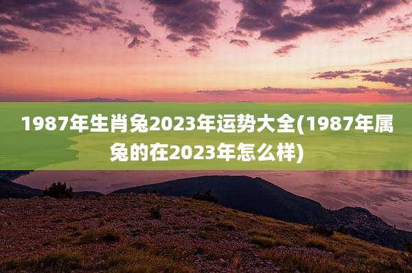 1987年生肖兔2023年运势大全(1987年属兔的在2023年怎么样)
