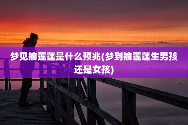 梦见摘莲蓬是什么预兆(梦到摘莲蓬生男孩还是女孩)