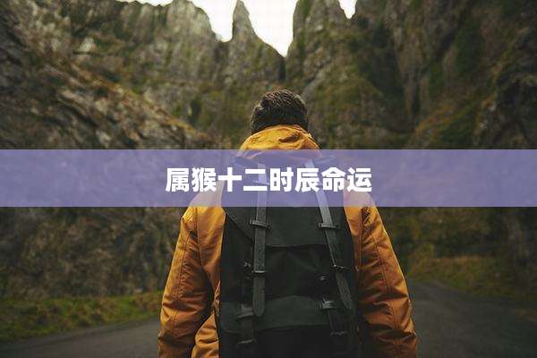 属猴十二时辰命运