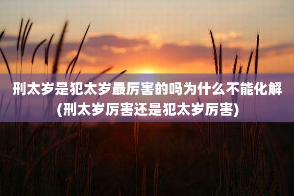 刑太岁是犯太岁最厉害的吗为什么不能化解(刑太岁厉害还是犯太岁厉害)