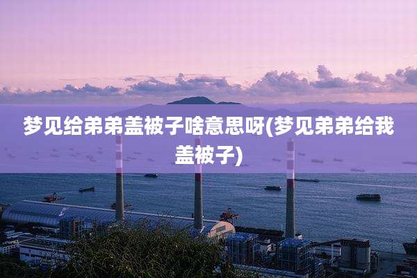 梦见给弟弟盖被子啥意思呀(梦见弟弟给我盖被子)