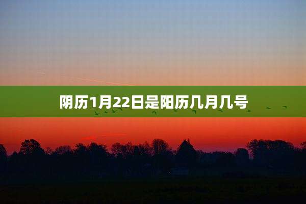 阴历1月22日是阳历几月几号