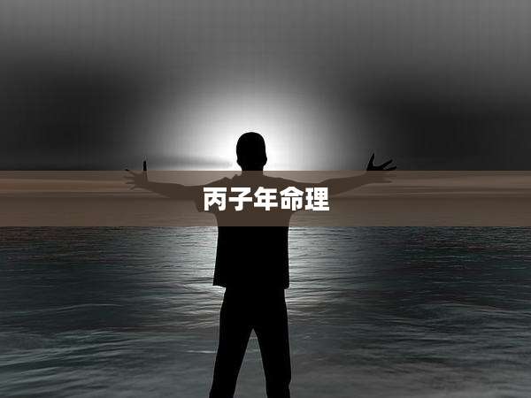 丙子年命理