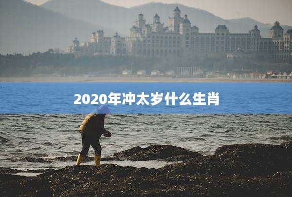 2020年冲太岁什么生肖