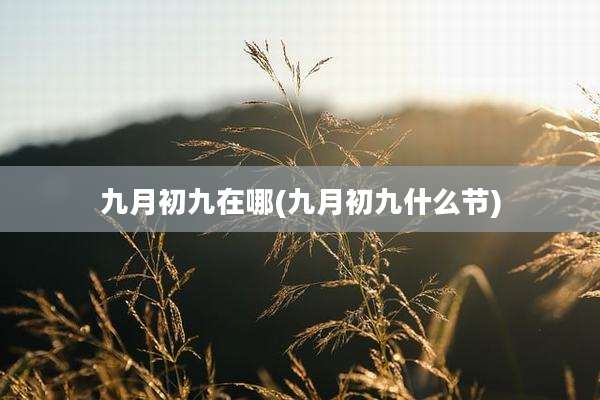 九月初九在哪(九月初九什么节)
