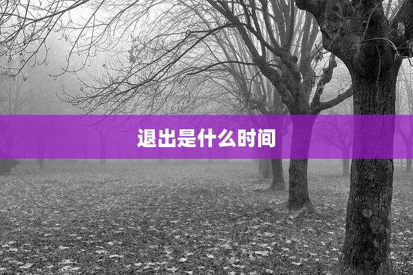 退出是什么时间