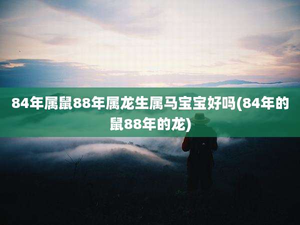 84年属鼠88年属龙生属马宝宝好吗(84年的鼠88年的龙)