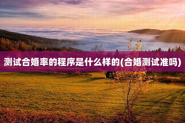 测试合婚率的程序是什么样的(合婚测试准吗)