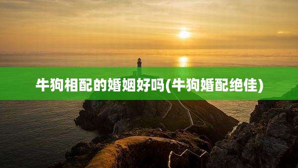 牛狗相配的婚姻好吗(牛狗婚配绝佳)