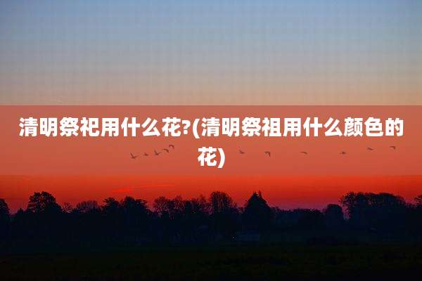 清明祭祀用什么花?(清明祭祖用什么颜色的花)