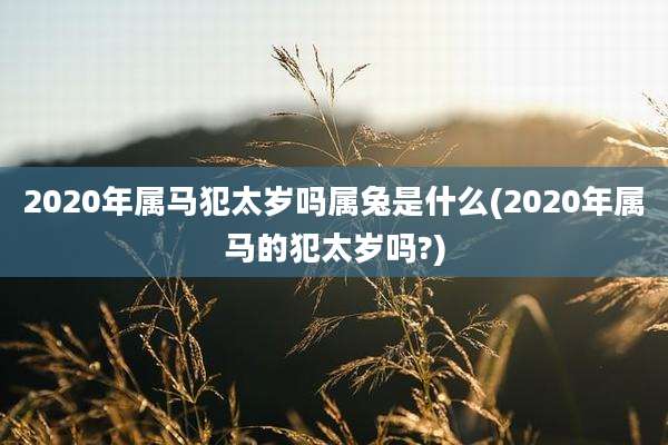 2020年属马犯太岁吗属兔是什么(2020年属马的犯太岁吗?)